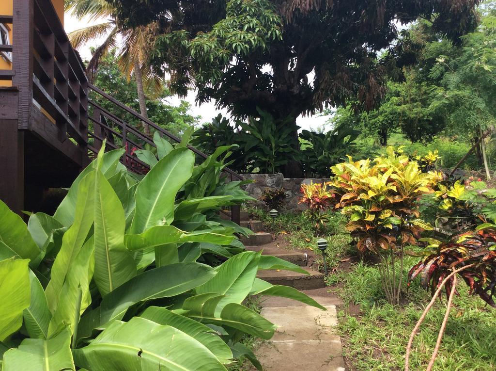 Kaye Mango Villa Soufrière Dış mekan fotoğraf