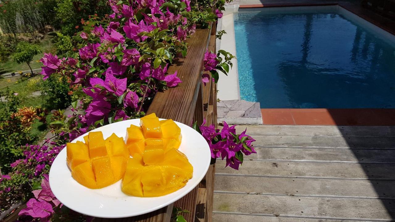 Kaye Mango Villa Soufrière Dış mekan fotoğraf