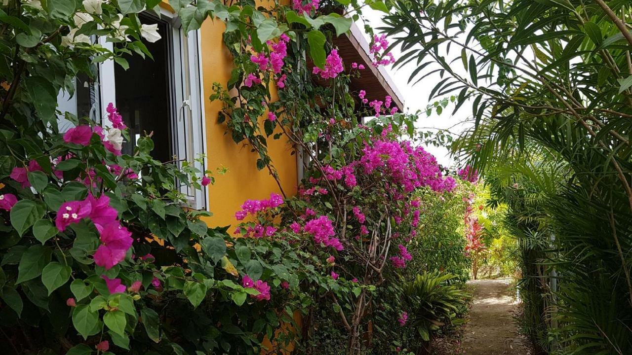 Kaye Mango Villa Soufrière Dış mekan fotoğraf