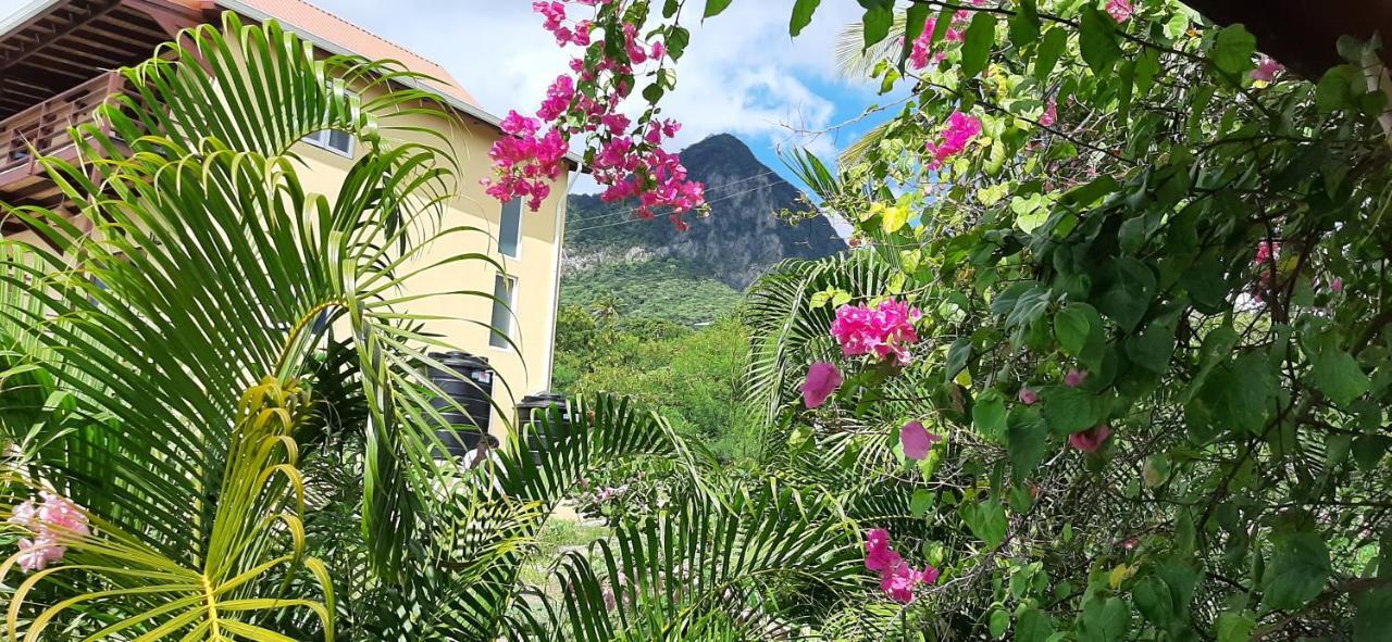 Kaye Mango Villa Soufrière Dış mekan fotoğraf
