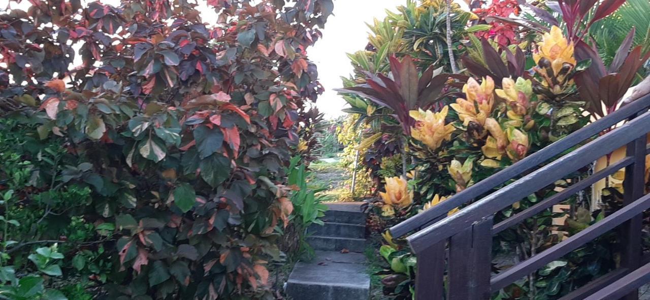 Kaye Mango Villa Soufrière Dış mekan fotoğraf