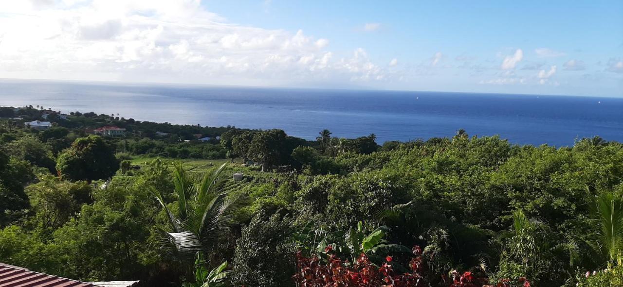 Kaye Mango Villa Soufrière Dış mekan fotoğraf