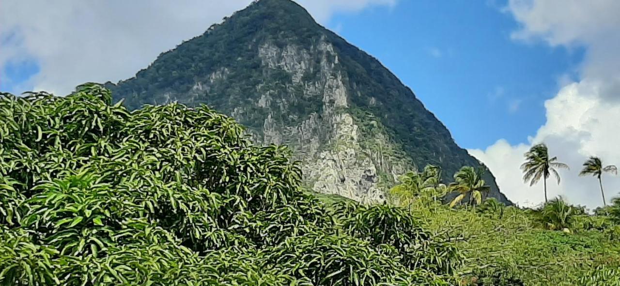 Kaye Mango Villa Soufrière Dış mekan fotoğraf