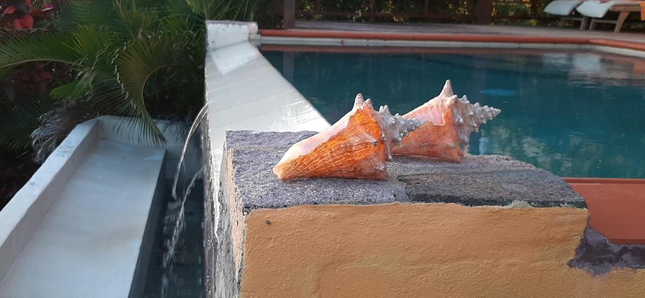 Kaye Mango Villa Soufrière Dış mekan fotoğraf